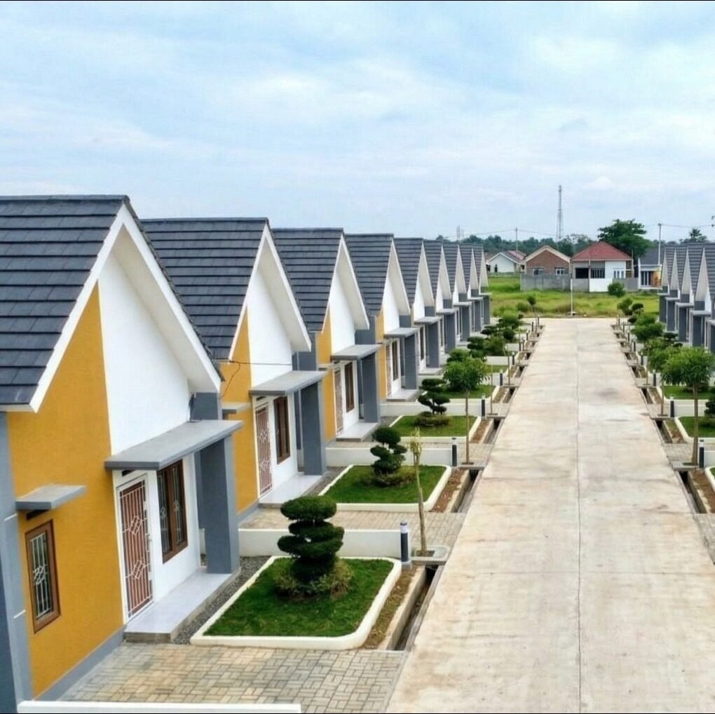 Drone View